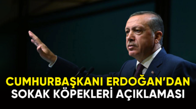 Cumhurbaşkanı Erdoğan'dan sokak köpekleri açıklaması