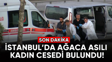 İstanbul'da ağaca asılı kadın cesedi bulundu!