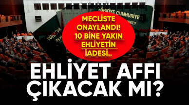 Ehliyet affı çıktı mı ?