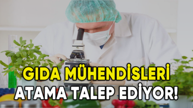 Gıda mühendisleri atama talep ediyor!