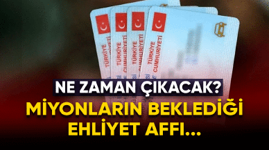 Milyonların beklediği ehliyet affında ne zaman çıkacak?