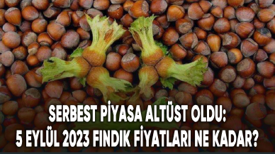 Serbest piyasa altüst oldu: 5 Eylül 2023 fındık fiyatları ne kadar?