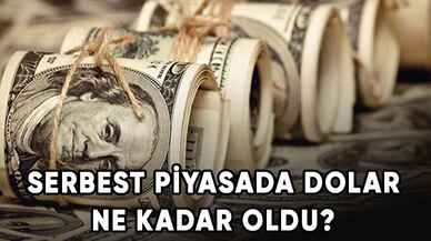 Serbest piyasada dolar ne kadar oldu?