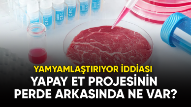 Yapay et projesinin perde arkasında ne var?