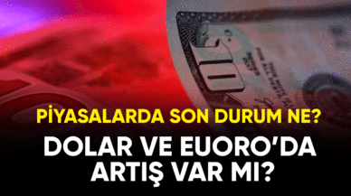 Dolar Euro da artış var mı? Döviz kurlarında son durum ne?