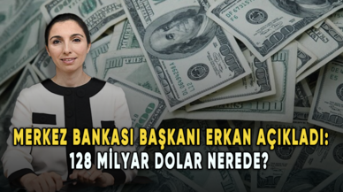 Merkez Bankası Başkanı Erkan açıkladı: 128 milyar dolar nerede?