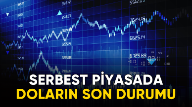 Serbest piyasada doların son durumu