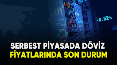 Serbest piyasada döviz fiyatlarında son durum