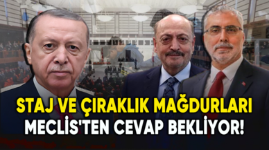 Staj ve çıraklık mağdurları Meclis'ten cevap bekliyor!