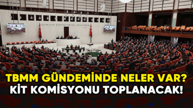 TBMM gündeminde neler var? Kamu İktisadi Teşebbüsleri Komisyonu toplanacak...