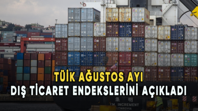 TÜİK ağustos ayı dış ticaret endekslerini açıkladı