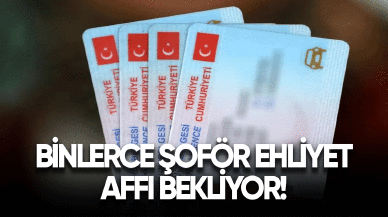 Binlerce şoför ehliyet affı bekliyor!