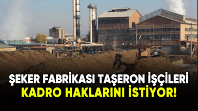 Şeker fabrikası taşeron işçileri kadro haklarını istiyor!