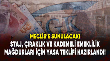 Staj, çıraklık ve kademeli emeklilik mağdurları için yasa teklifi hazırlandı!