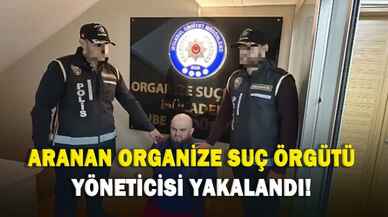 Aranan organize suç örgütü yöneticisi yakalandı!