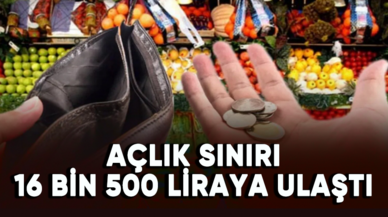 Birleşik Kamu-İş: Açlık sınırı 16 bin 500 liraya ulaştı!