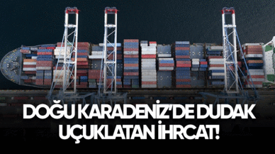 Doğu Karadeniz'de dudak uçuklatan ihracat!