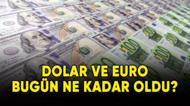 Dolar ve Euro ne kadar oldu?