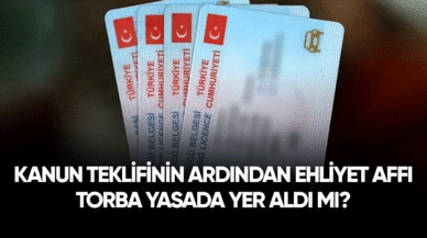 Kanun teklifinin ardından ehliyet affı torba yasada yer aldı mı?