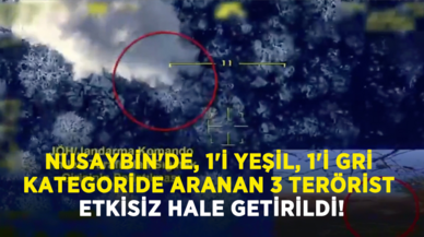 Nusaybin'de, 1'i yeşil, 1'i gri kategoride aranan 3 terörist etkisiz hale getirildi!