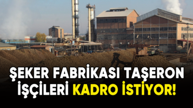 Şeker fabrikası taşeron işçileri kadro istiyor!