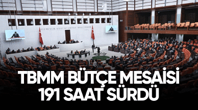 TBMM'de  bütçe mesaisi 191 saat sürdü