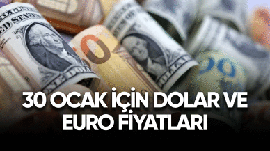 30 Ocak için Dolar ve Euro fiyatları