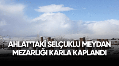 Ahlat'taki Selçuklu Meydan Mezarlığı karla kaplandı