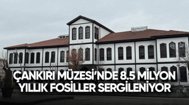 Çankırı Müzesi'nde 8,5 milyon yıllık fosiller sergileniyor