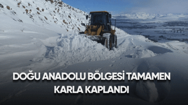 Doğu anadolu bölgesi tamamen karla kaplandı