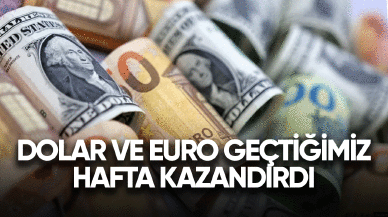 Dolar ve Euro geçtiğimiz hafta kazandırdı