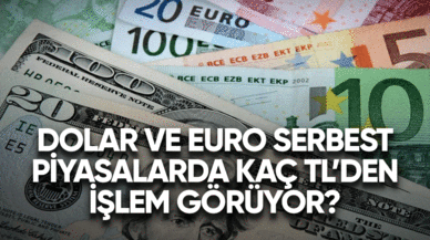 Dolar ve Euro serbest piyasalarda kaç TL'den işlem görüyor?