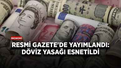 Resmi Gazete'de yayımlandı: Döviz yasağı esnetildi