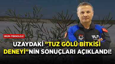 Uzaydaki "Tuz Gölü bitkisi deneyi"nin sonuçları açıklandı