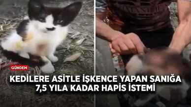 Kedilere asitle işkence yapan sanığa 7,5 yıla kadar hapis istemi