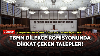 TBMM Dilekçe Komisyonunda dikkat çeken talepler!