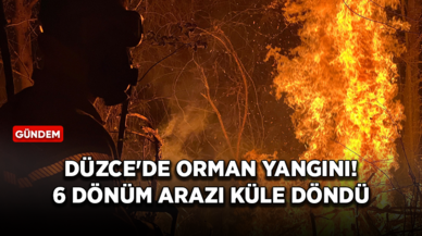 Düzce'de orman yangını! 6 dönüm arazi küle döndü