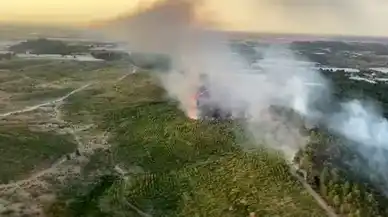 Antalya'da korkutan orman yangını!