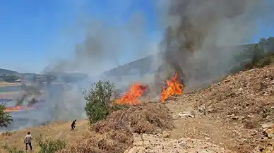 Muğla'da ormanlık alanda yangın: Müdahaleler sürüyor