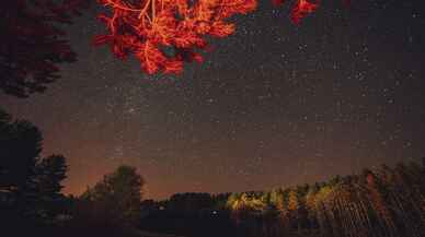 Türkiye'den Perseid meteor yağmuru kareleri!