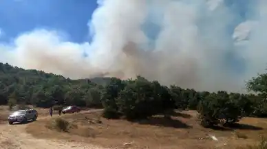 Afyonkarahisar'da korkutan orman yangını