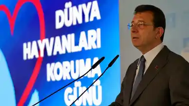 İmamoğlu’ndan sokak hayvanları çıkışı: Uyutmaya asla izin vermeyeceğiz