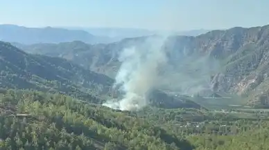 Dalaman'da orman yangınına müdahale çalışmaları sürüyor