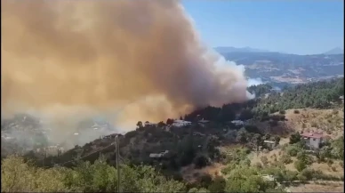 Kahramanmaraş'ta orman yangını çıktı: Ekipler müdahaleye başladı