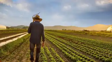 Çiftçiler tarlasını satılığa çıkardı: Üretim maliyeti karşılamıyor