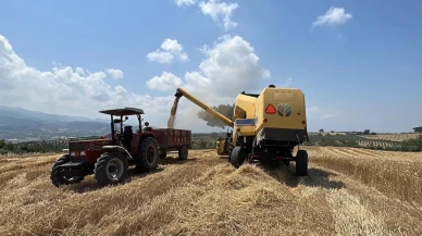 Hatay'da hasat krizi! Tüccarlar arasında kavgaya dönüşen tartışma