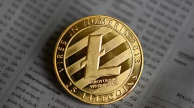 Litecoin (LTC) 1.200 dolar hedefliyor