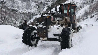 Artvin'de 3 Mart günü okullar tatil mi?