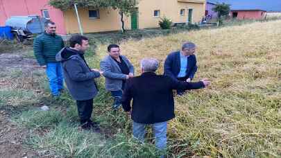 Edirne’de dolunun vurduğu 13 bin dönümlük çeltik arazisinde hasar tespiti