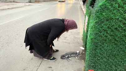 Aksaray’da otomobilin çarptığı kedisinin öldüğünü gören kadın gözyaşı döktü